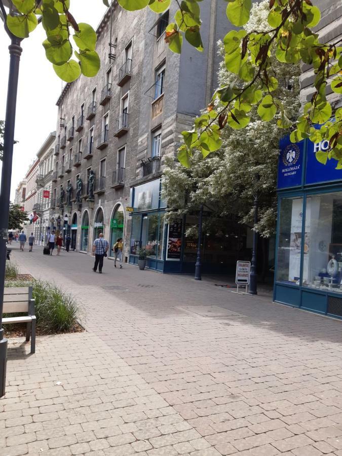 Wanderer 3 Apartment Debrecen Bagian luar foto